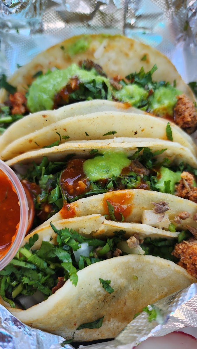 Taqueria El Korita Birria Y Pastor